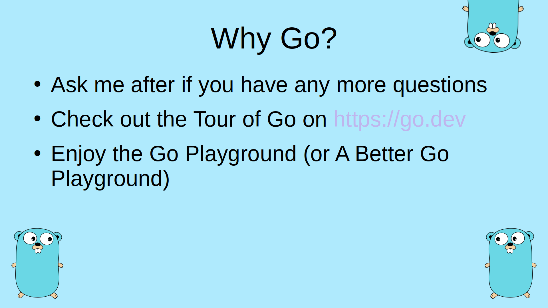 20-why-go.png